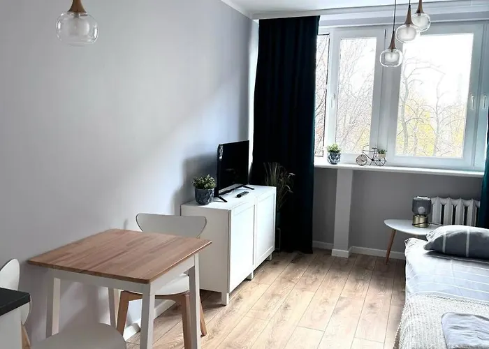 Apartament In The Center - Prime Location